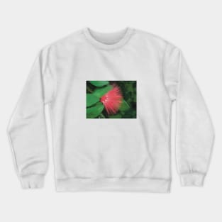 ‘Ōhi’a Lehua flower - digital painting Crewneck Sweatshirt